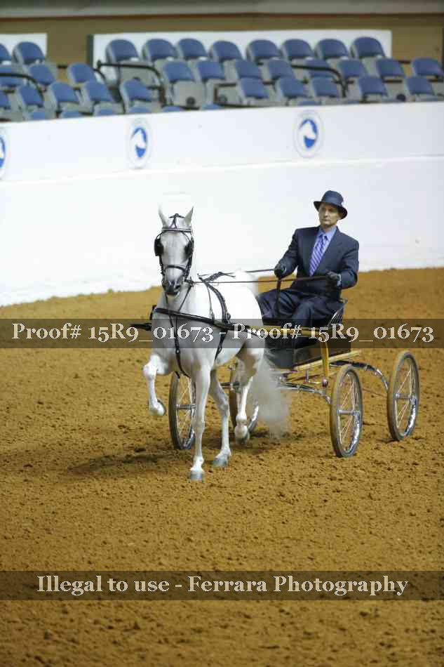 Proof 15R9_01673