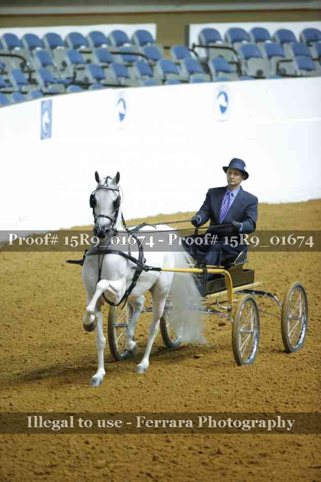 Proof 15R9_01674