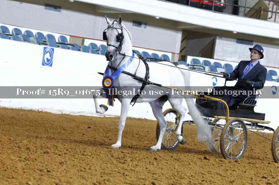 Proof 15R9_01675