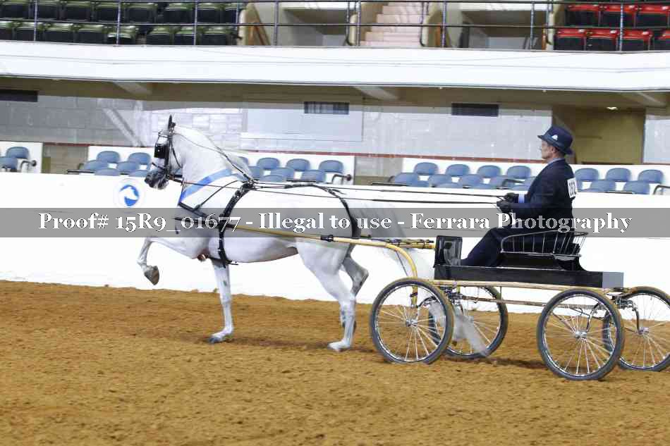 Proof 15R9_01677