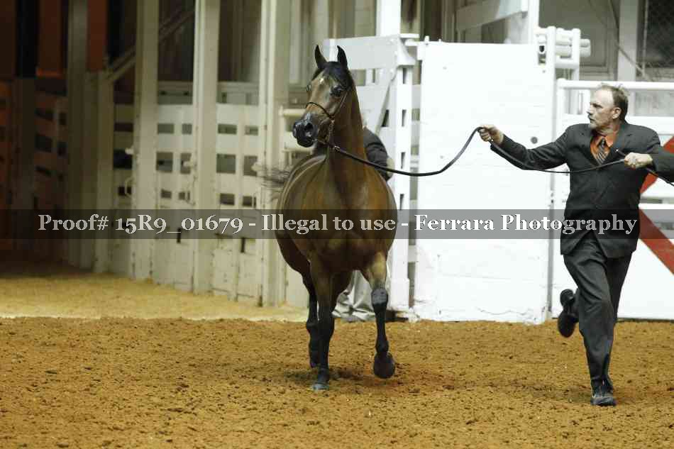 Proof 15R9_01679