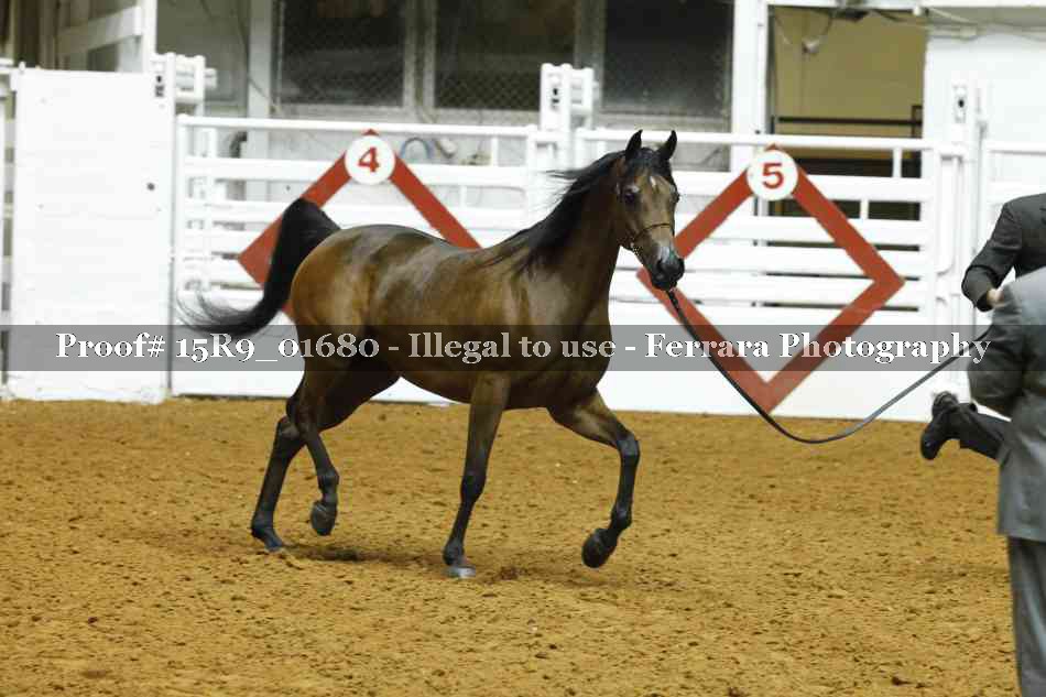 Proof 15R9_01680