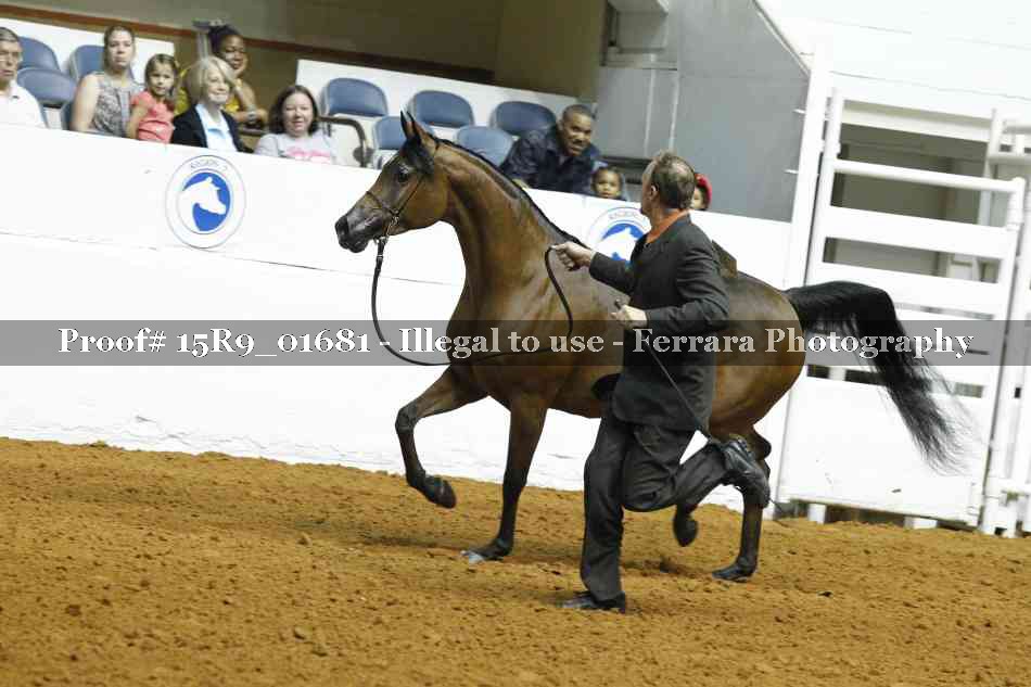 Proof 15R9_01681