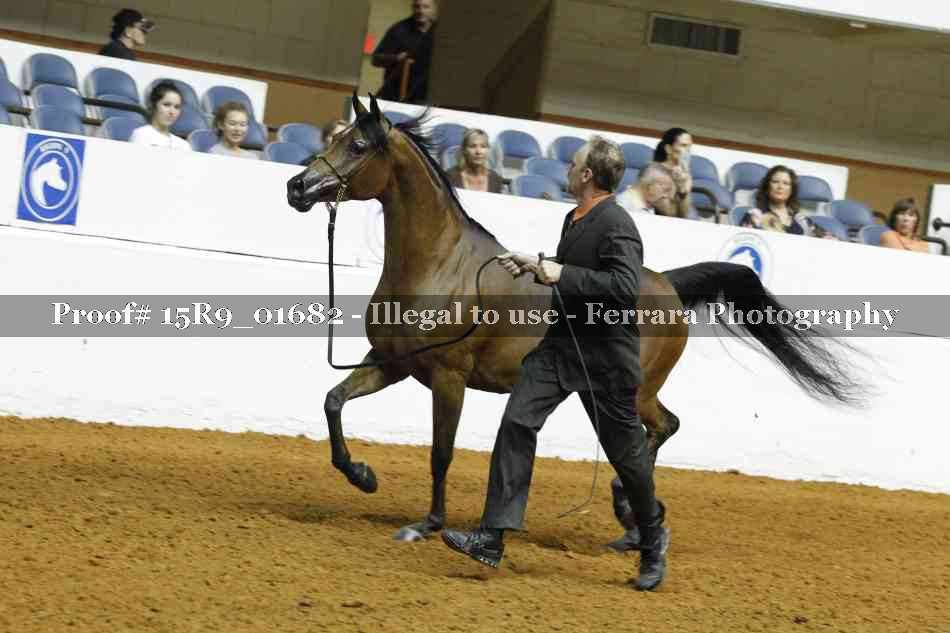 Proof 15R9_01682