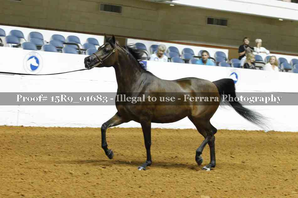 Proof 15R9_01683