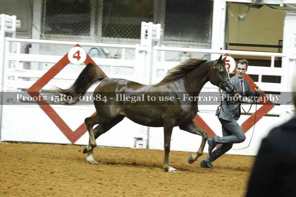Proof 15R9_01684