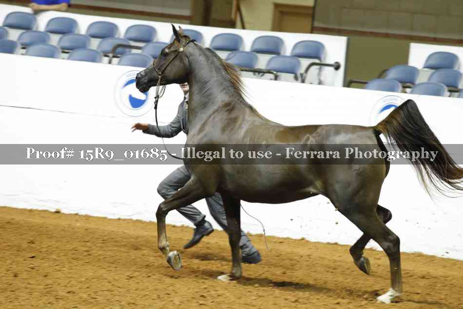 Proof 15R9_01685