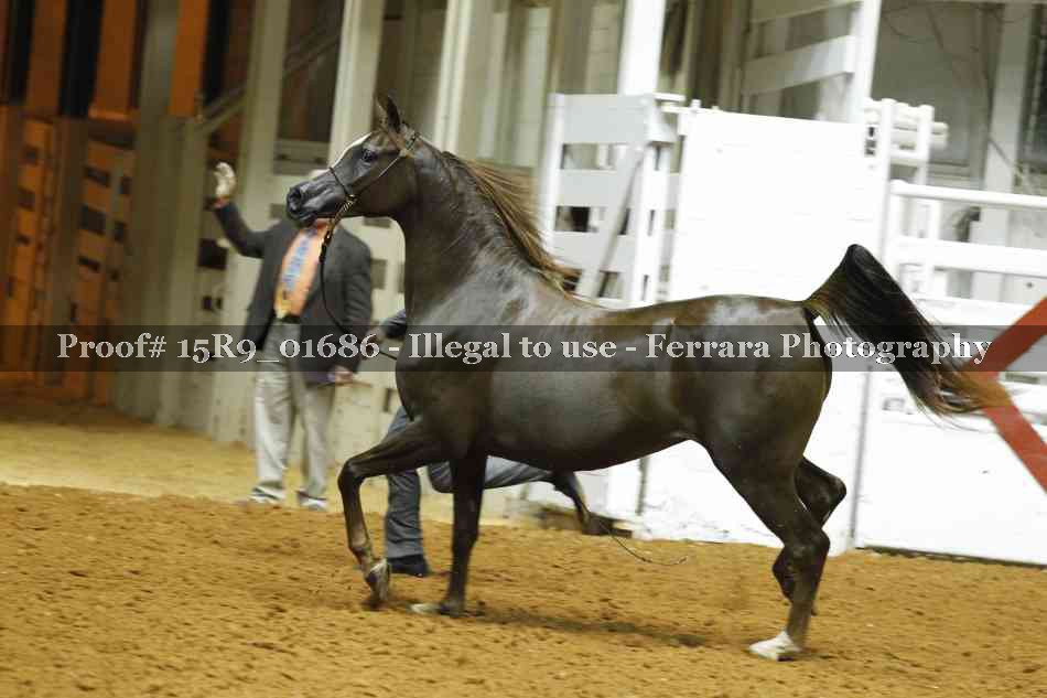Proof 15R9_01686