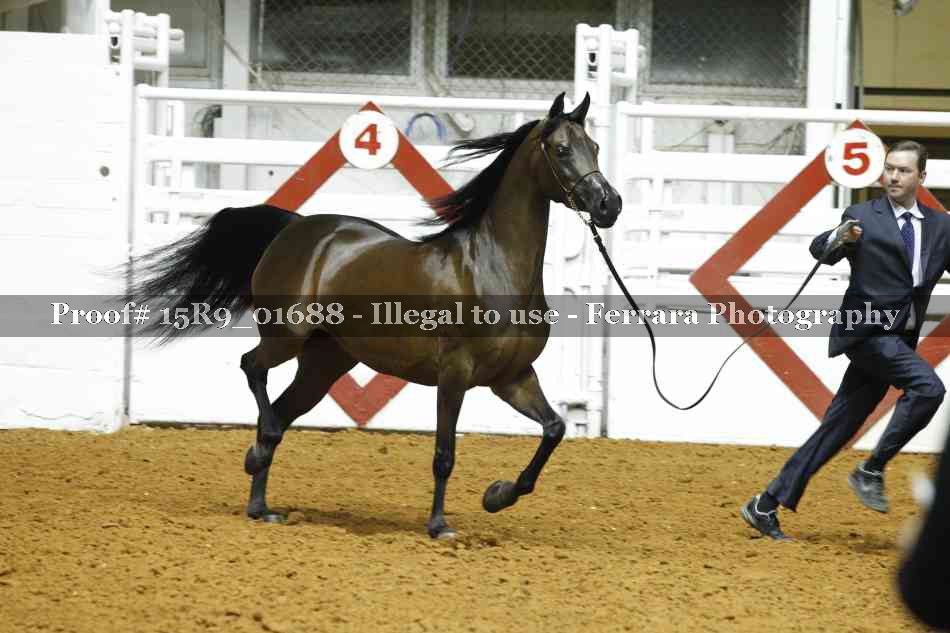 Proof 15R9_01688