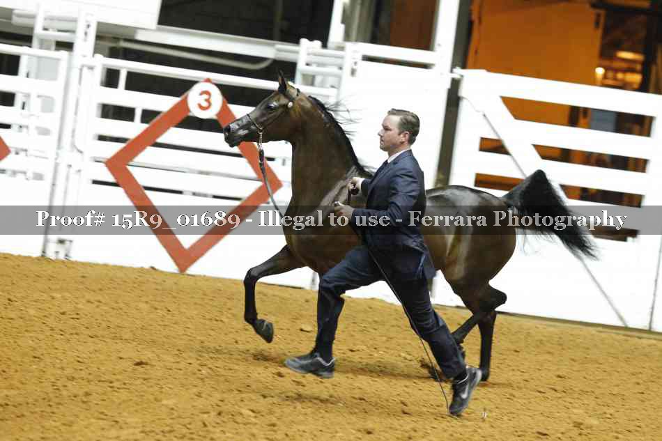 Proof 15R9_01689