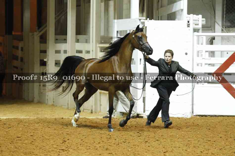 Proof 15R9_01690