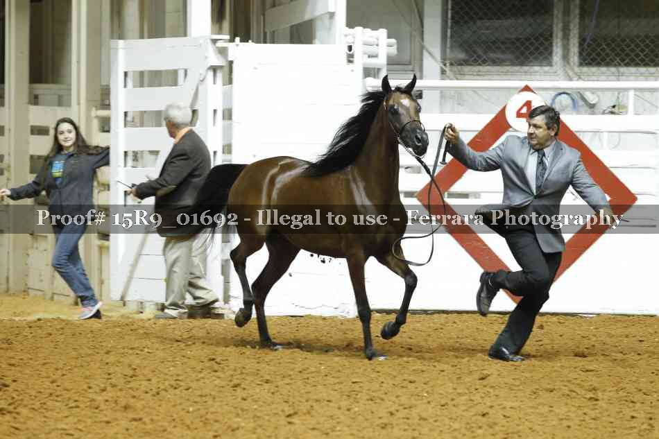 Proof 15R9_01692