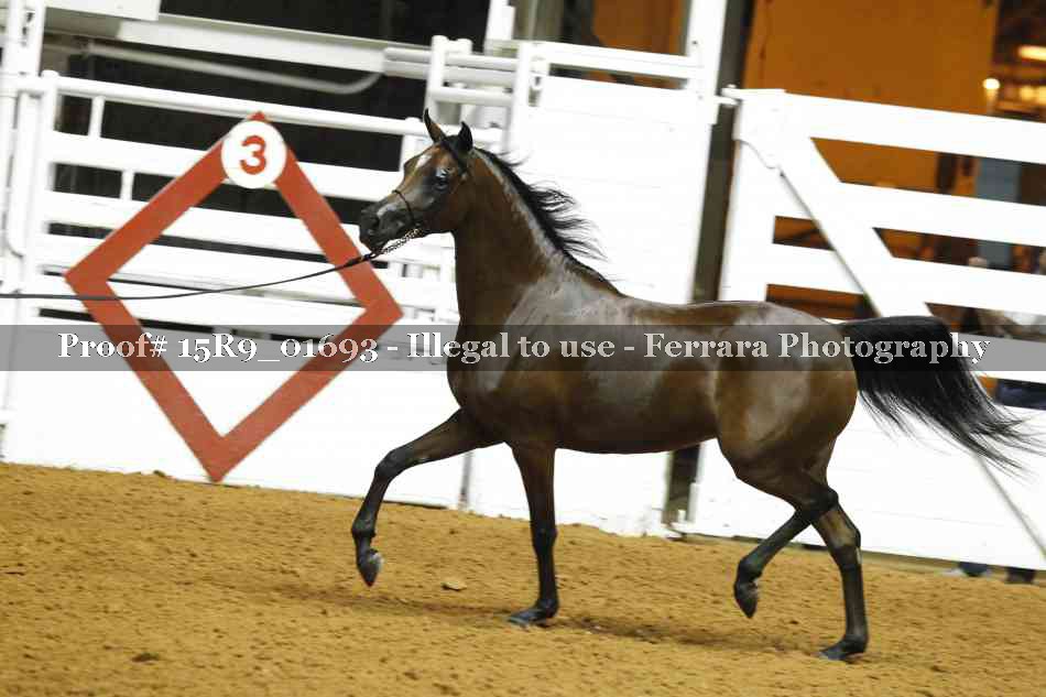 Proof 15R9_01693