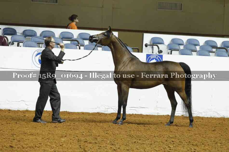 Proof 15R9_01694
