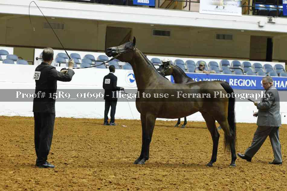 Proof 15R9_01696