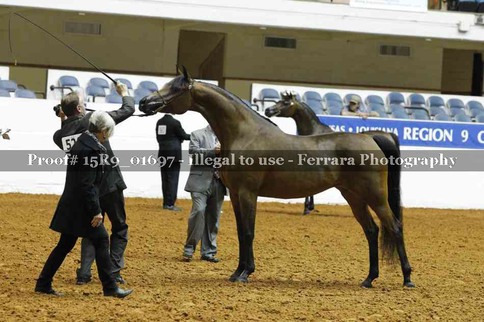 Proof 15R9_01697