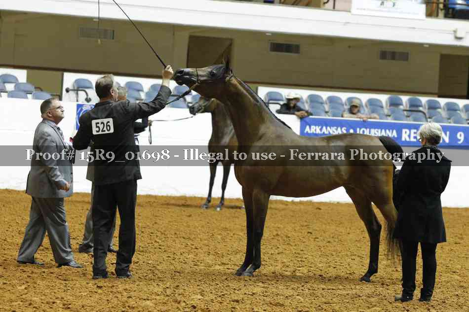 Proof 15R9_01698