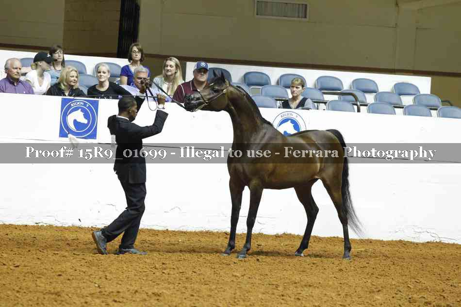 Proof 15R9_01699