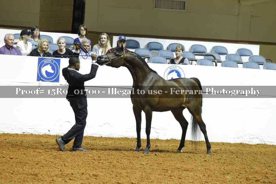 Proof 15R9_01700