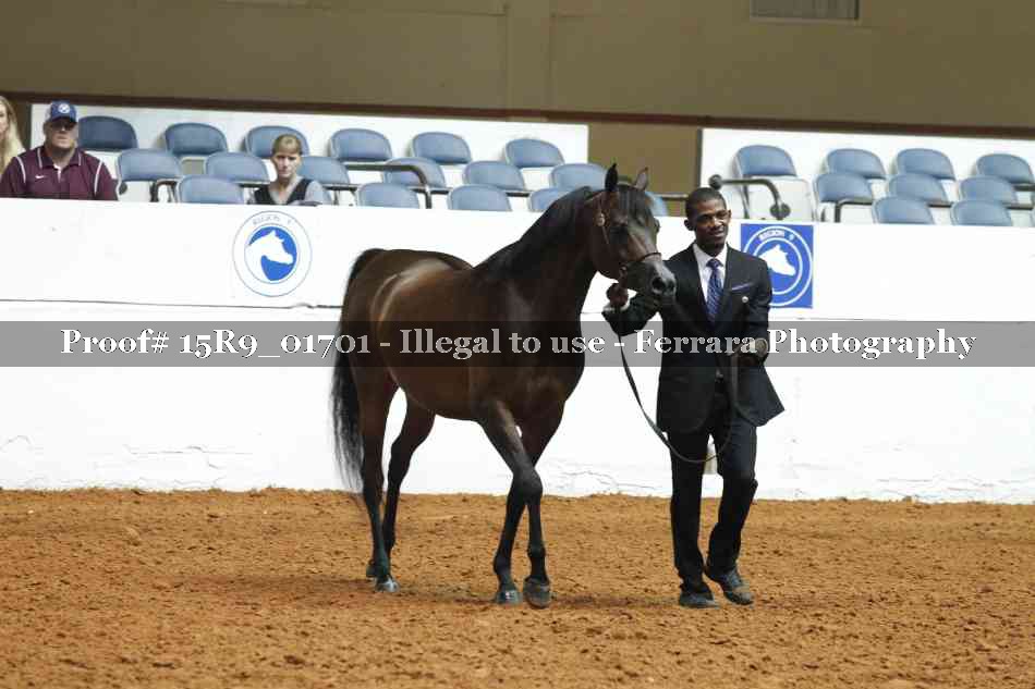 Proof 15R9_01701