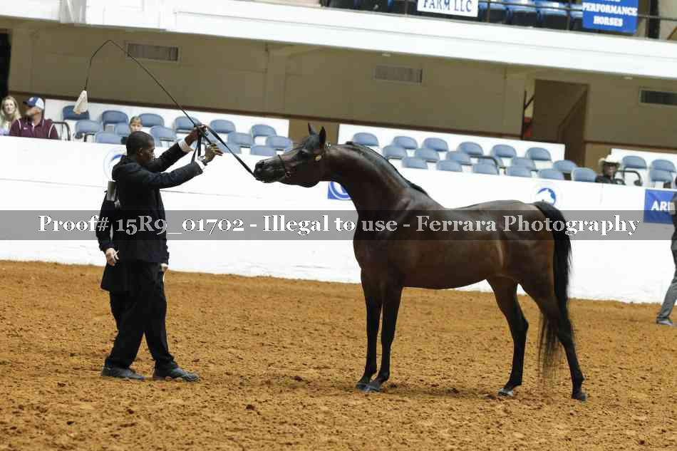 Proof 15R9_01702