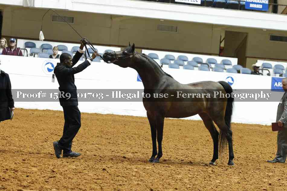 Proof 15R9_01703