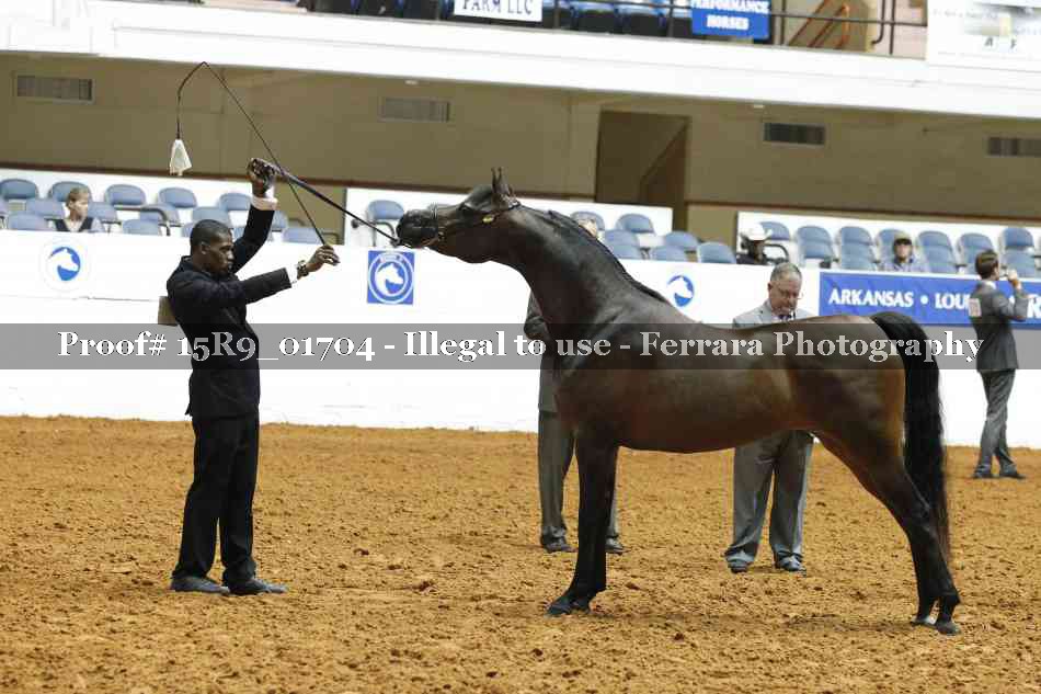 Proof 15R9_01704