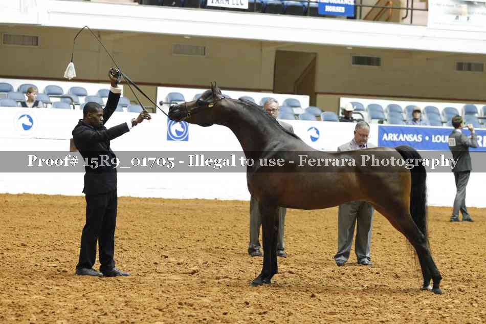 Proof 15R9_01705
