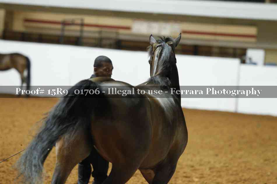 Proof 15R9_01706