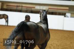 15R9_01706 proof