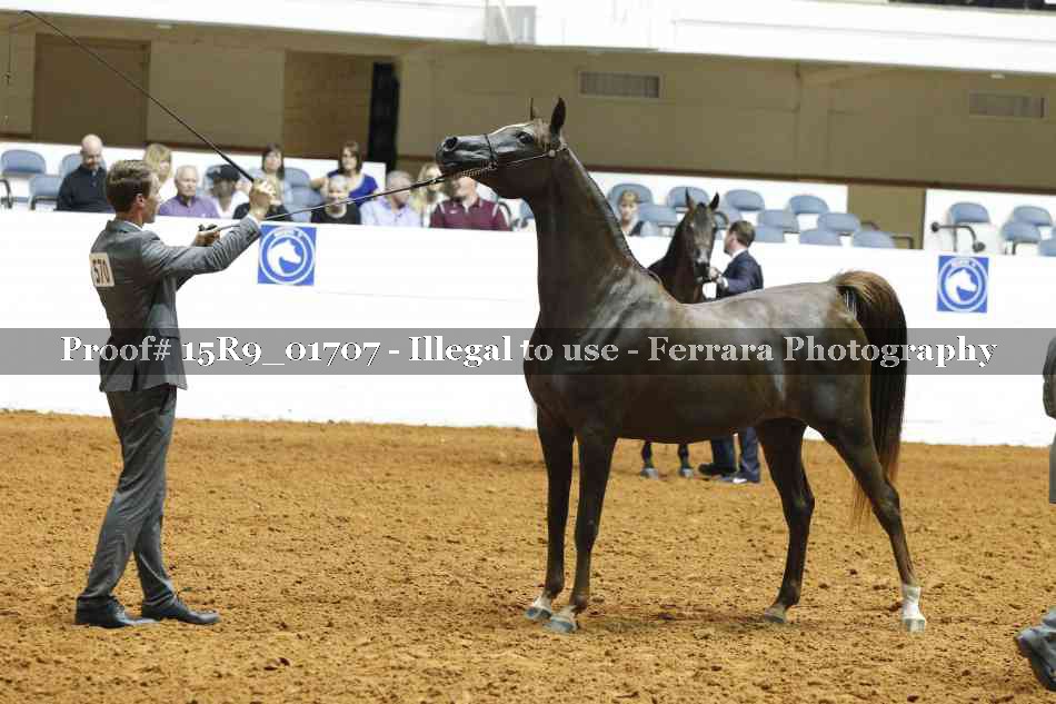 Proof 15R9_01707