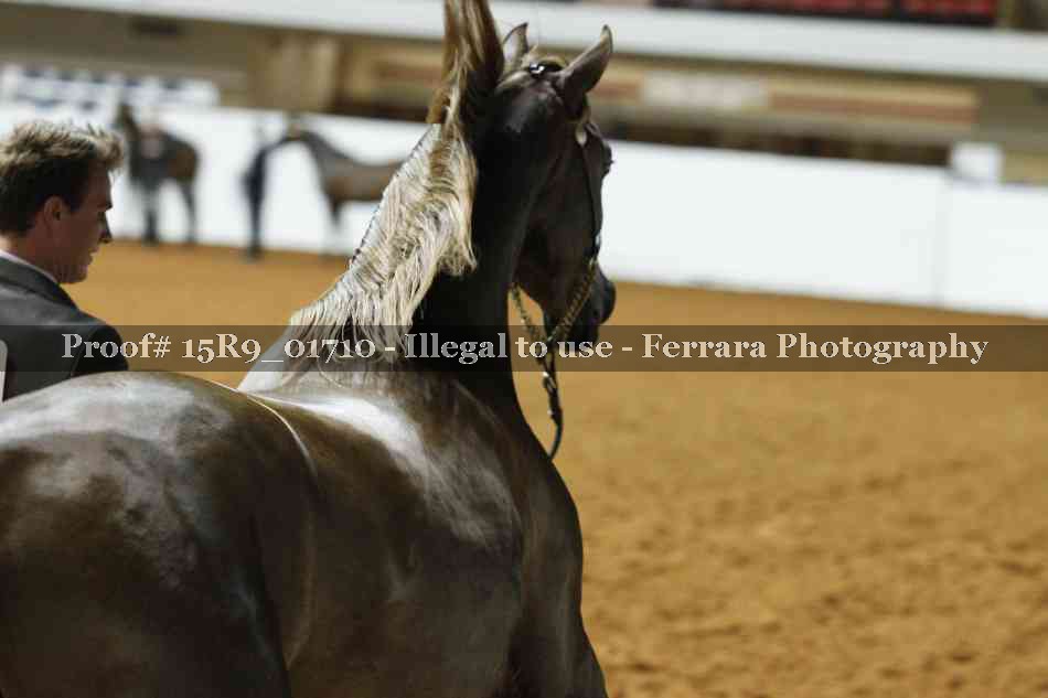 Proof 15R9_01710