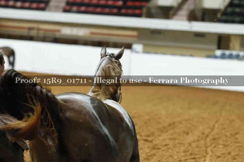 Proof 15R9_01711