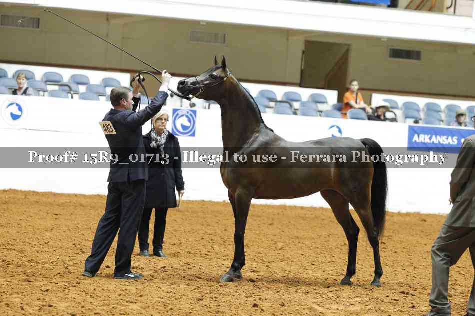 Proof 15R9_01713