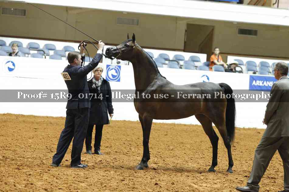 Proof 15R9_01714