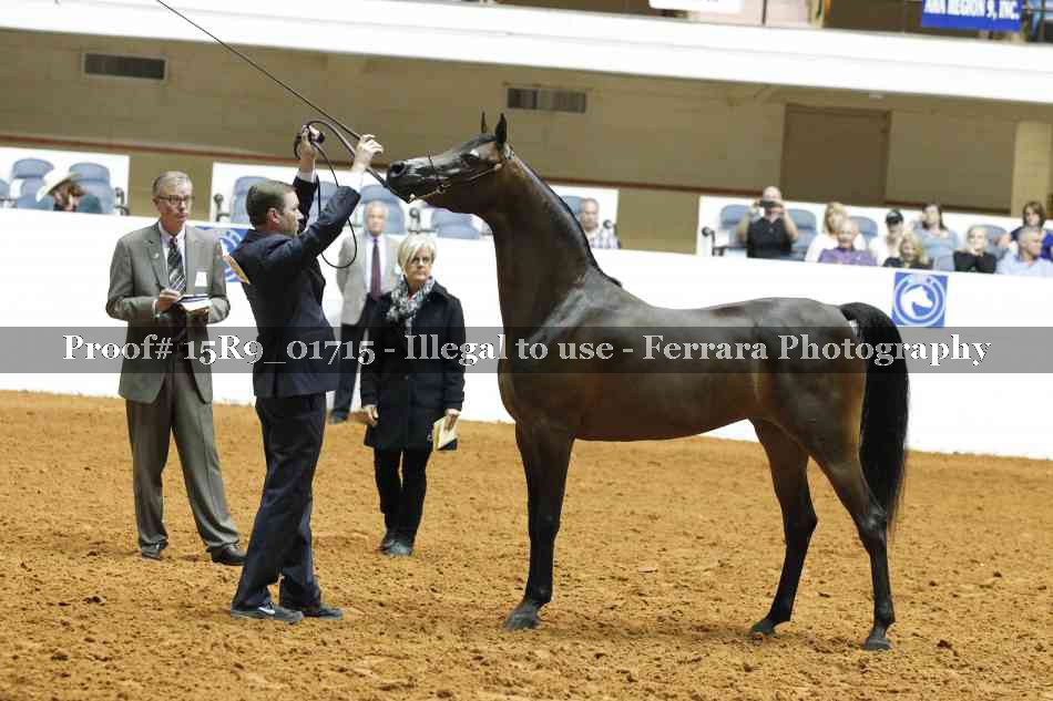 Proof 15R9_01715