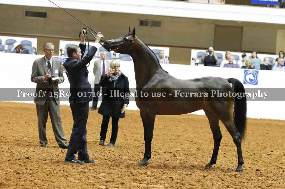 Proof 15R9_01716