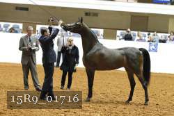 15R9_01716 proof
