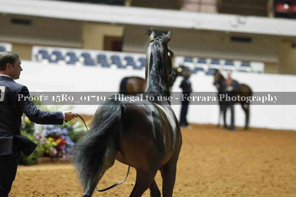 Proof 15R9_01719