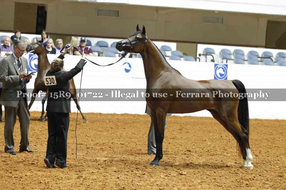 Proof 15R9_01722