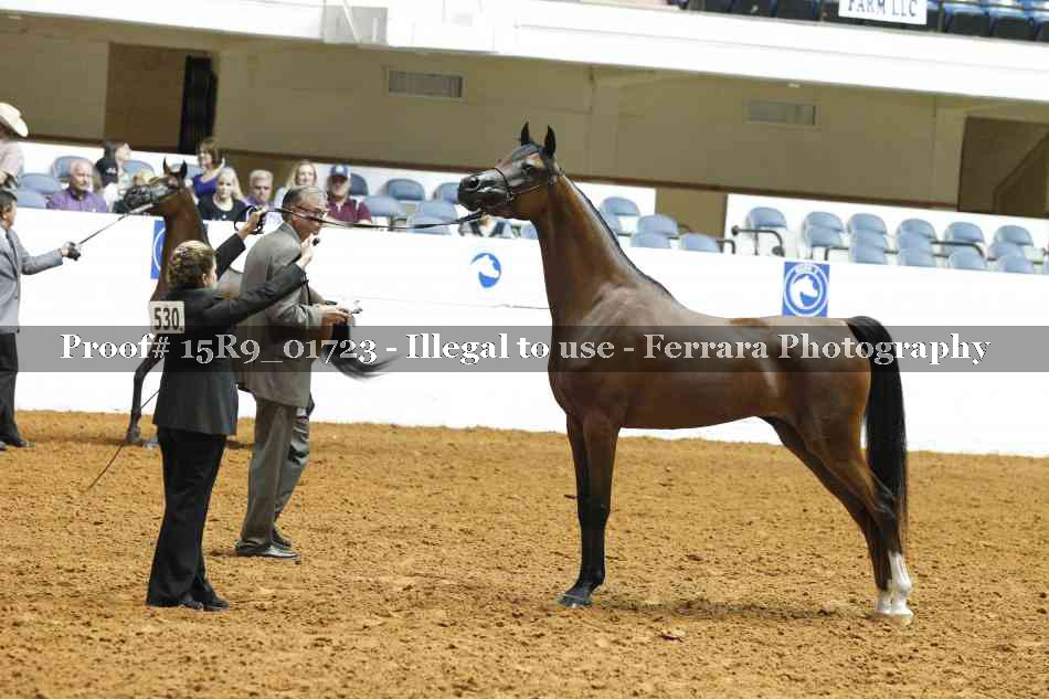 Proof 15R9_01723