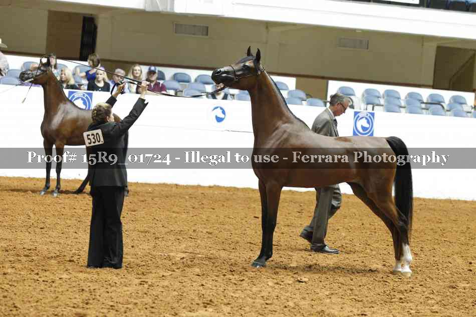 Proof 15R9_01724