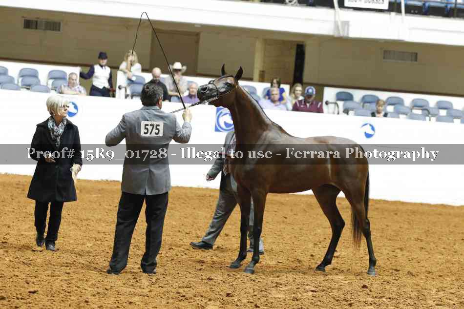Proof 15R9_01728