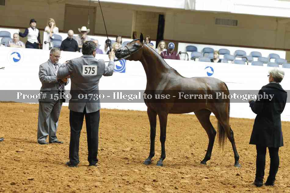 Proof 15R9_01730