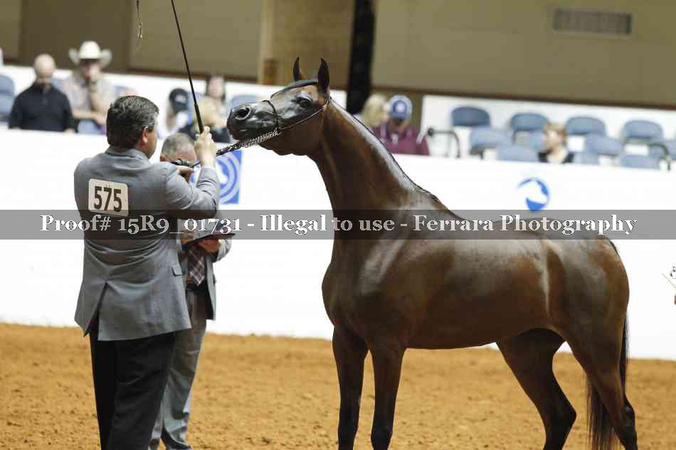 Proof 15R9_01731