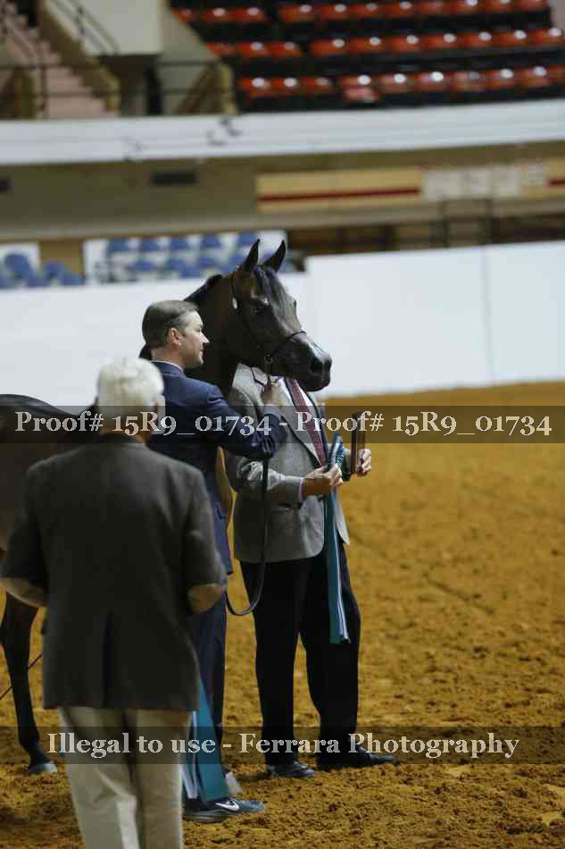 Proof 15R9_01734