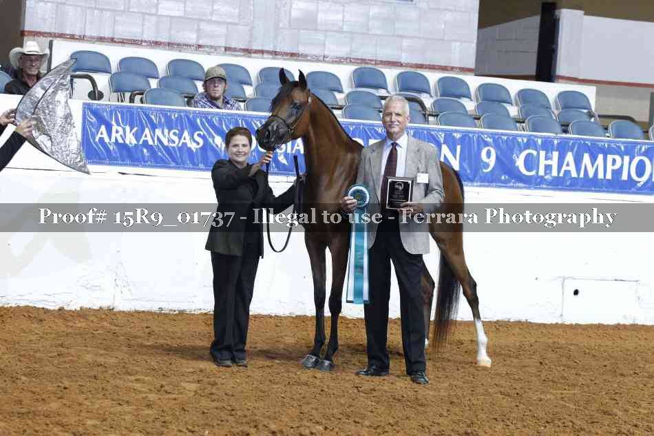 Proof 15R9_01737