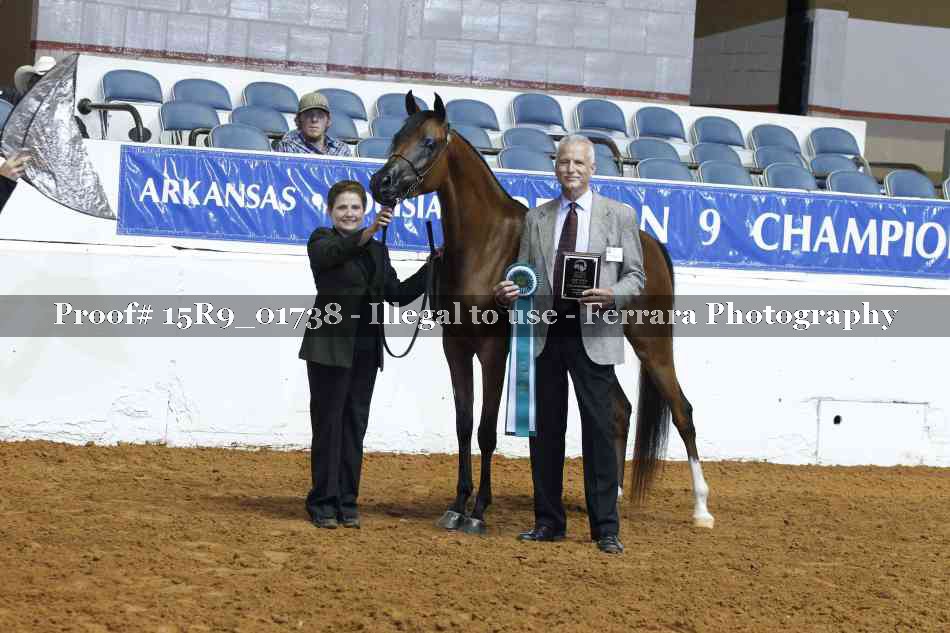 Proof 15R9_01738