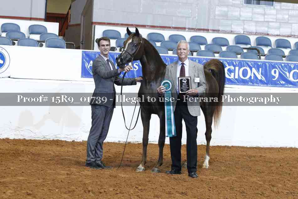 Proof 15R9_01739