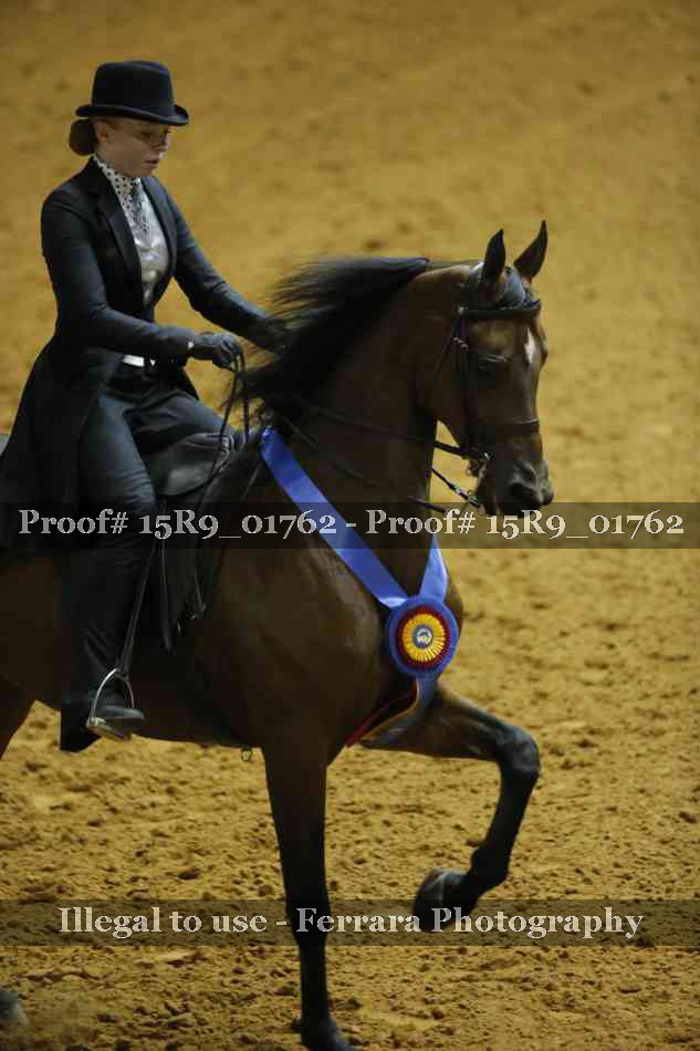 Proof 15R9_01762